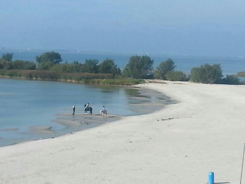 Vakantie Chalet Makkum Εξωτερικό φωτογραφία