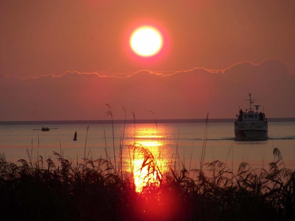 Vakantie Chalet Makkum Εξωτερικό φωτογραφία